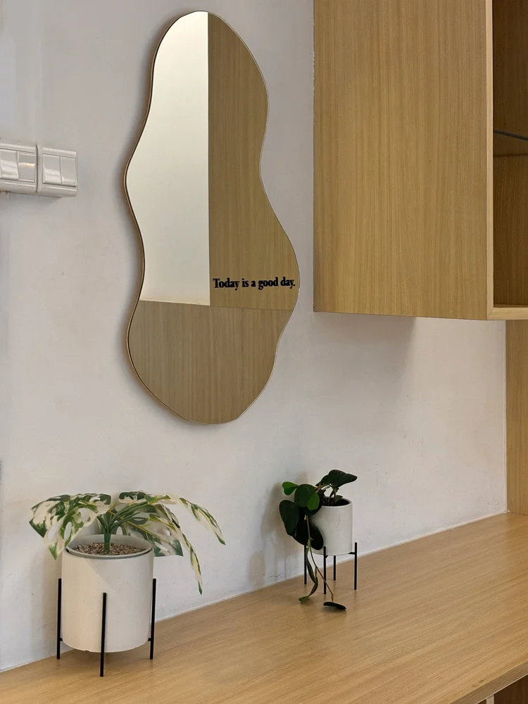 Sydney: Mirror and wood wall cabinet by the entrance, with a couple of small plants.