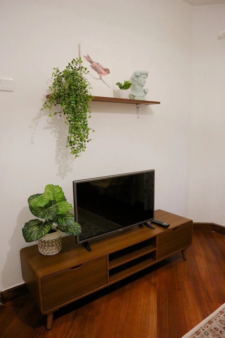 Havana: Smart TV with Netflix in the living room, with a plant shelf beside it.