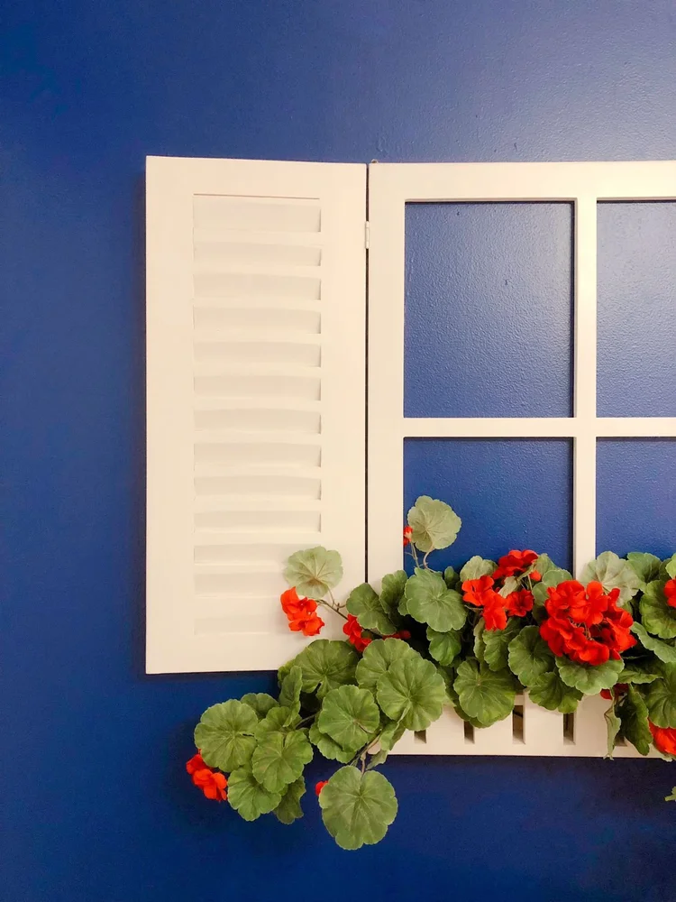 Amsterdam: Dutch-style shutters with red geraniums, the small details that carry the theme.