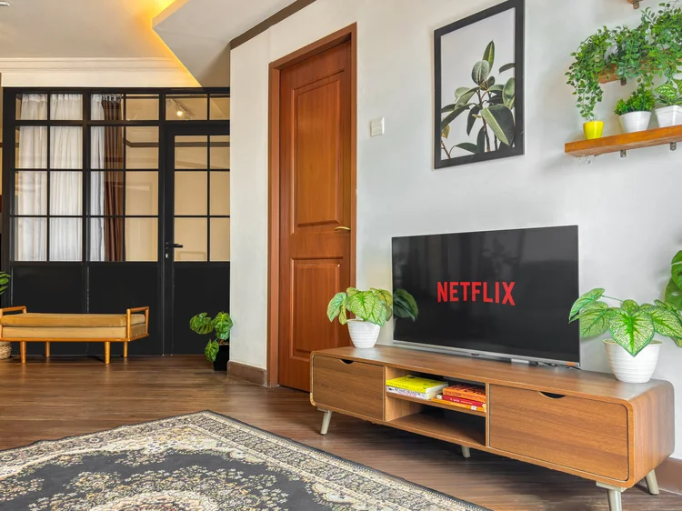 Norfolk: Norfolk's living room: TV with Netflix, plants and a patterned rug.